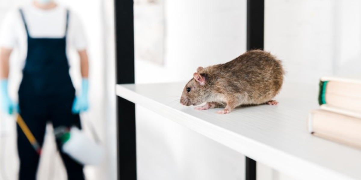 Rodent Control Services Near Me