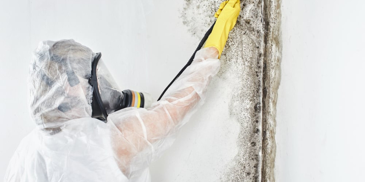 Expert Mold Remediation Services in Beverly Hills, CA - Safe & Effective Solutions