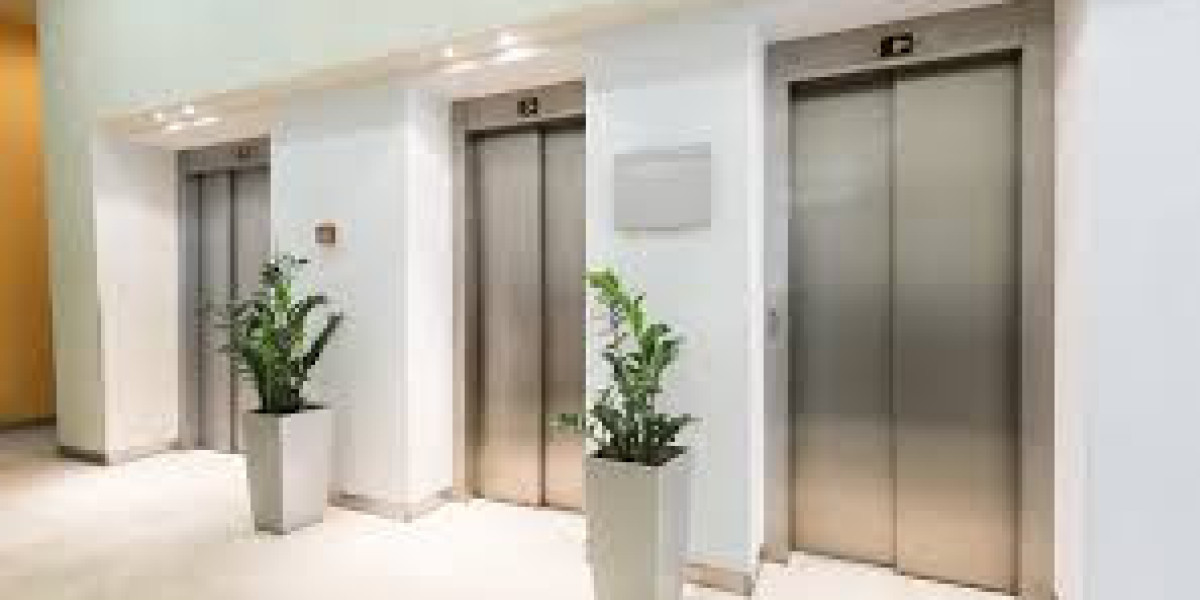 Two-Person Home Lifts in India: Cost and Insights for an Opulent Home Enhancement