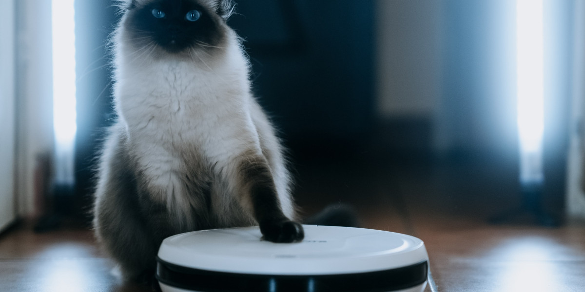 What's The Job Market For Automatic Hoover Robot Professionals?