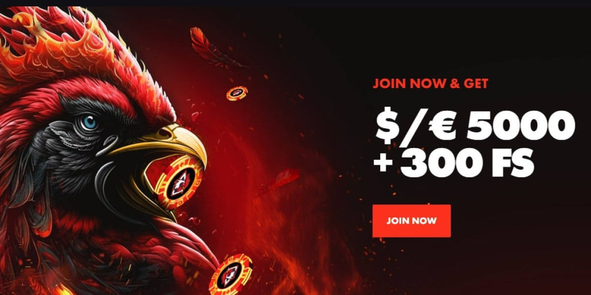 ? Beginner's Luck? Here's How to Start Winning at Roosterbet! ?