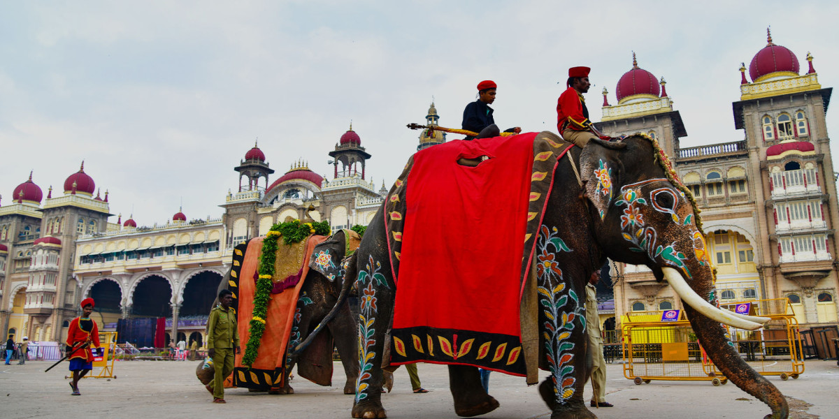 Mysore Palace Dussehra – A Royal Spectacle You Can't Miss