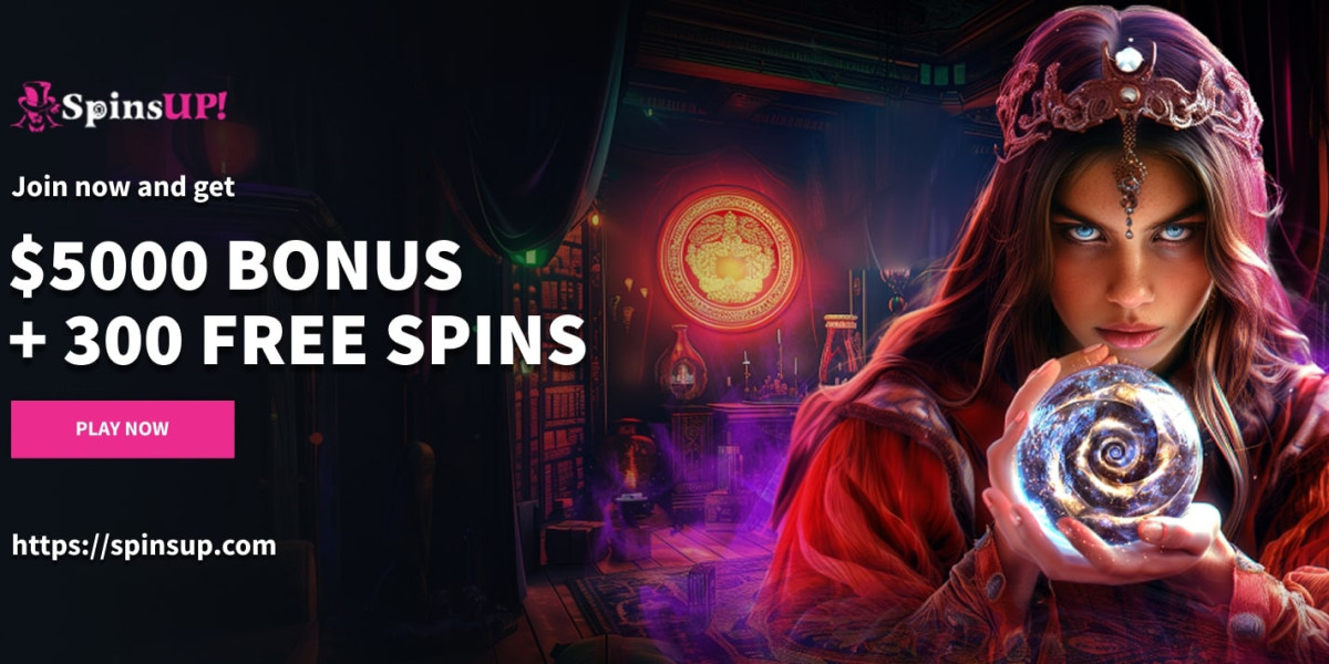 5 Reasons Spinsup Casino Feels Like Home for Gamers