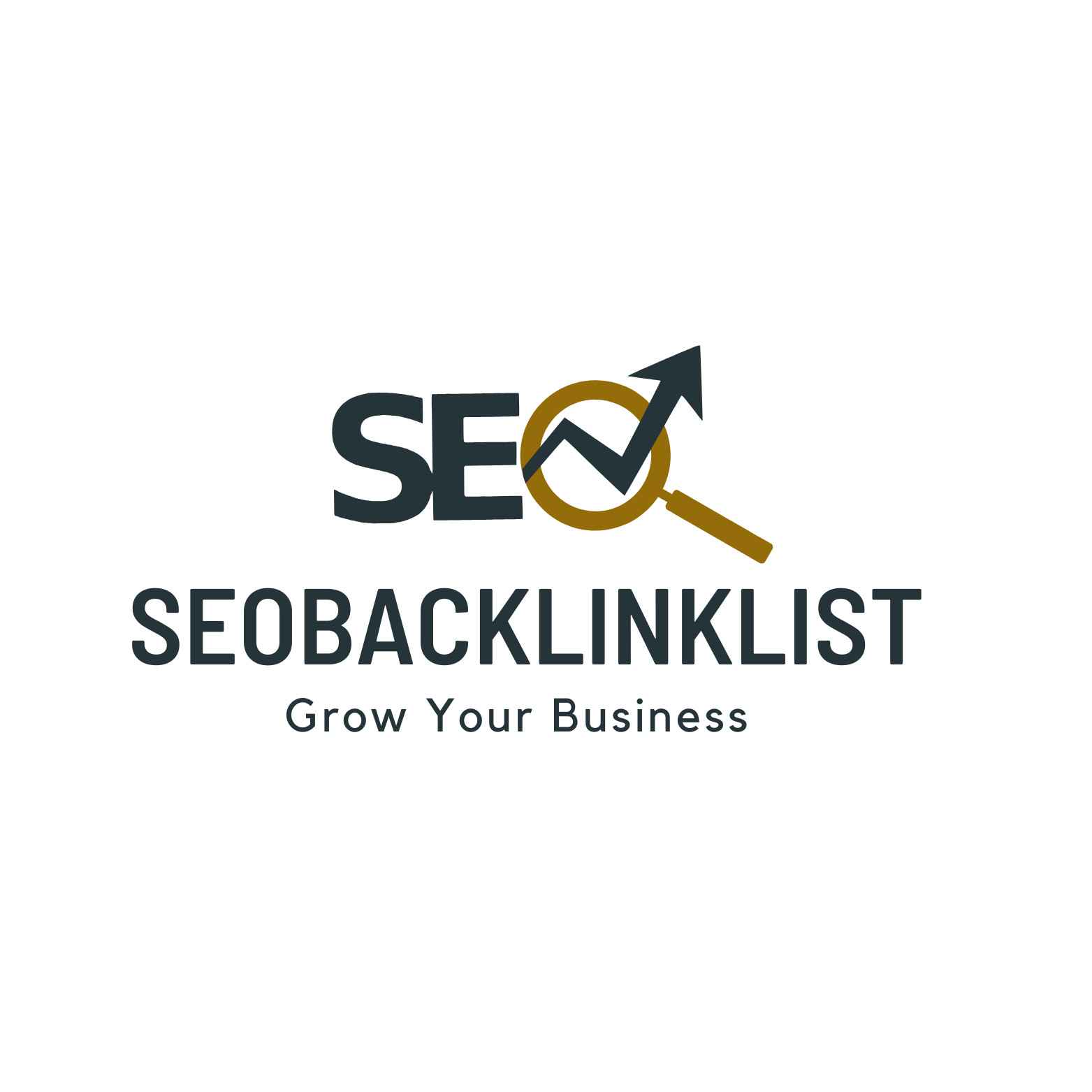SEO List Profile Picture